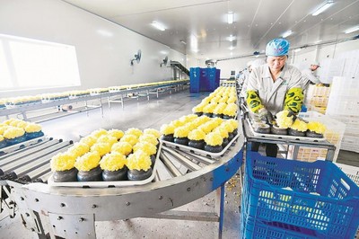 RCEP紅利顯現(xiàn) 福建農產品出口迎增長機遇