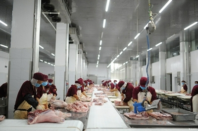 蒙城 綠色農產品暢銷長三角，農業(yè)產業(yè)高質量發(fā)展的新篇章