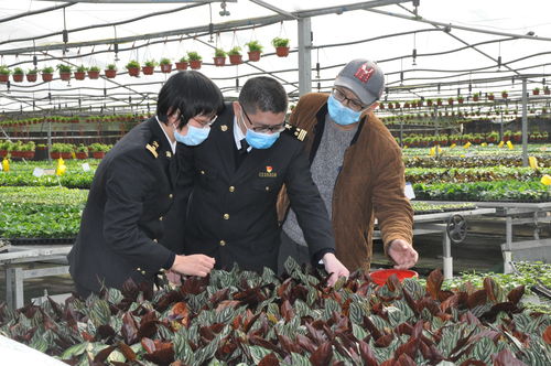 廣州農(nóng)產(chǎn)品原材料進(jìn)出口雙順暢，為農(nóng)業(yè)生產(chǎn)注入新活力